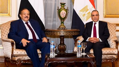 وزير الخارجية والهجرة يستقبل وزير خارجية السودان لبحث المستجدات الميدانية 