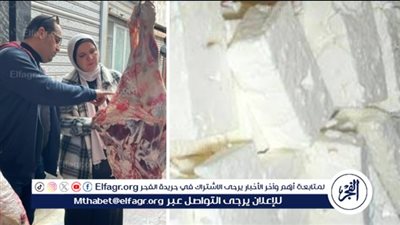 محافظ الدقهلية: ضبط أكثر من 5 طن دقيق وملح وجبن وسلع متنوعة وتحرير 163 مخالفة تموينية 