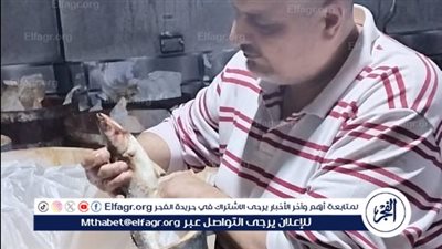 محافظ الدقهلية: ضبط أكثر من 3 طن أسماك ورنجة وفسيخ ولحوم مخالفة للمواصفات بمدينتي طلخا وبلقاس 