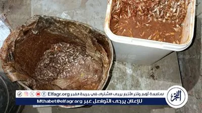 محافظ المنيا يوجه بتكثيف الحملات التموينية لضبط الأسواق وحماية صحة المواطنين طوال أيام عيد الفطر