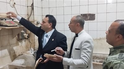 في ثانً أيام العيد.. حملات تموينية رقابية بأحياء الإسكندرية 