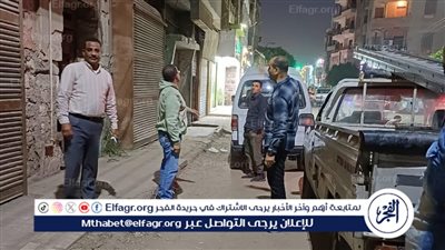 سقوط شجرة يغلق شارع ببني سويف.. والمحافظ يوجه بإعادة حركة المرور لطبيعتها