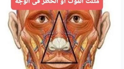 المنطقة الخطرة في الوجه: احذروا التعامل مع الحبوب أو الدمامل في 
