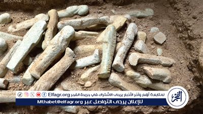 الأعلى للأثار يكشف تفاصيل الكشف الأثري الجديد في معبد الرامسيوم بالأقصر (فيديو)