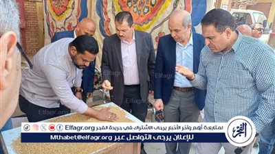 انطلاق موسم توريد القمح المحلي لعام 2025 من محافظة الفيوم