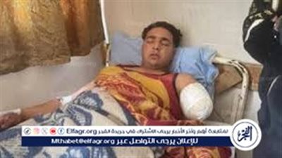 مطالب بتعويض قدره 5 مليون جنيه بعد هجوم نمر في سيرك طنطا.. القصة الكاملة بالفيديو