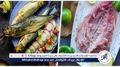 أشهر أكلات شم النسيم 2025.. الرنجة والفسيخ على مائدة المصريين رغم التحذيرات