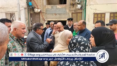 محافظ الدقهلية في جولة تفقدية بالمنصورة: رفع الأتربة ودهان البلدورات وتغيير المتهالك منها بشارعي الجمهورية والجيش 
