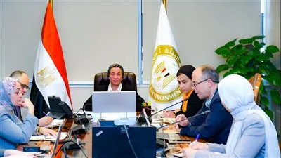 وزيرة البيئة تعقد اجتماعا للجنة الطيور لمناقشة التأثيرات المحتملة على هجرة الطيور 