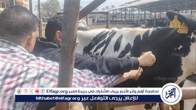 إطلاق الحملة القومية للتحصين ضد مرضي الجلد العقدي وجدري الأغنام بالإسماعيلية