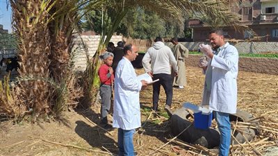 استمرار الحملة القومية الأولى للتحصين ضد الحمى القلاعية وحمى الوادي المتصدع في قنا