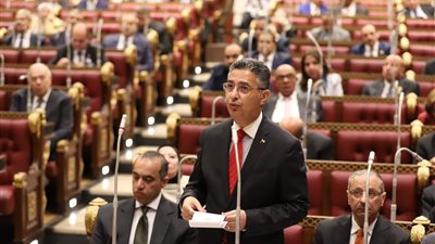 وزير التموين أمام مجلس الشيوخ: مشروعات نوعية لتعزيز الأمن الغذائي وتحديث منظومة الدعم