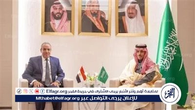 عاجل| وزيرا خارجية مصر والسعودية يبحثان جهود تثبيت وقف النار بغزة