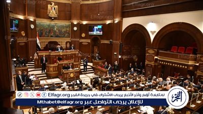 تفاصيل طلب مناقشة بمجلس الشيوخ لتعزيز مشاركة القطاع الخاص في سد عجز الغرف الفندقية