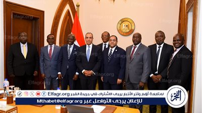 وزير الخارجية والهجرة يستقبل أعضاء اللجنة التنفيذية للرابطة الإفريقية في مصر