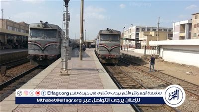 مصرع شاب أسفل عجلات قطار أمام محطة بني سويف.. الركاب: فقد توازنه فجأة