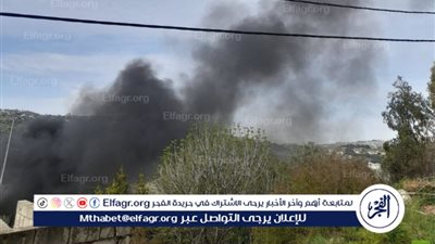 الصحة اللبنانية: شهيد إثر غارة إسرائيلية استهدفت دراجة نارية جنوبي البلاد