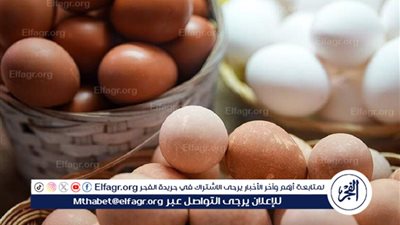 سعر كرتونة البيض في بورصة الدواجن والسوق اليوم الأربعاء 8 اكتوبر 2025