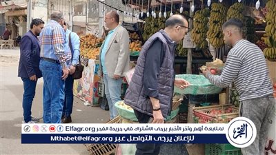 محافظ الدقهلية يتابع أعمال حملات تفتيش اللجنة الخماسية بحي شرق المنصورة 