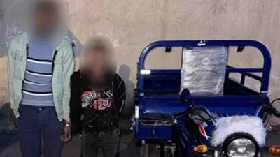 ضبط شخصين لقيامهما بسرقة هاتف محمول سيدة بالإسكندرية 