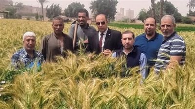 محافظ الجيزة يتابع استعدادات استقبال موسم حصاد القمح ويؤكد تقديم الدعم والتيسيرات للمزارعين