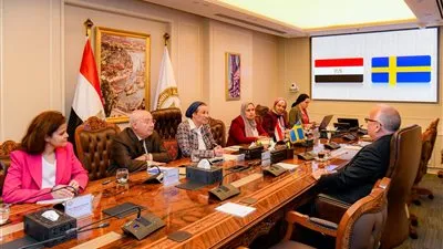 وزيرة البيئة تبحث مع السفير السويدى بالقاهرة تعزيز التعاون الثنائي في التحول الأخضر