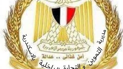 ضبط 36.5 ألف قطعة أطباق بلاستيكية مجهولة المصدر خلال حملات تموينية بالإسكندرية