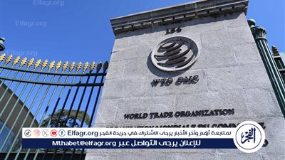  منظمة التجارة العالمية تحذر من عواقب تقسيم الاقتصاد العالمي إلى كتلتين