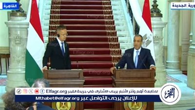 وزير الخارجية: مصر ستشارك في تحالف مجري لإقامة محطة كهربائية بالمجر