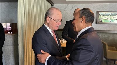 وزير الخارجية يؤكد لنظيره الفلسطيني: الرفض القاطع للتهجير والتمسك بالحفاظ على حقوق الشعب