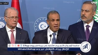 وزير الخارجية: لا يوجد أي سبب أخلاقي يبرر إخراج الفلسطينيين من أرضهم