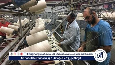 العضو المنتدب للشركة يكشف ملامح خطة تطوير صناعة الغزل والنسيج في مصر(فيديو)