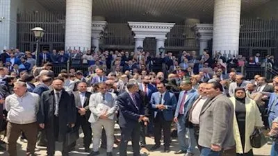 احتجاجات بالروب الأسود: محامو مصر ينتفضون ضد الرسوم القضائية الجديدة (تفاصيل)