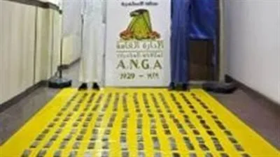 سقوط شبكة تجار مخدرات بحوزتهم سموم بقيمة 25 مليون جنيه