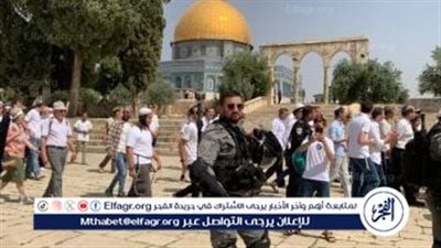 عاجل:- 765 مستوطنًا يقتحمون المسجد الأقصى وسط تحذيرات من تصعيد إسرائيلي خطير