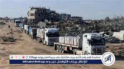  القاهرة الإخبارية: الفوج الرابع من قوافل 