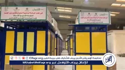 تسليم 879 كشكًا مجهزًا للأسر الأولى بالرعاية وذوي الهمم بالفيوم ضمن مبادرات التحالف الوطني