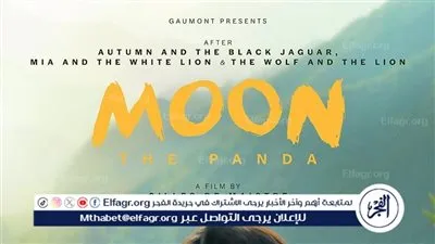 فيلم Moon the Panda في دور العرض المصرية