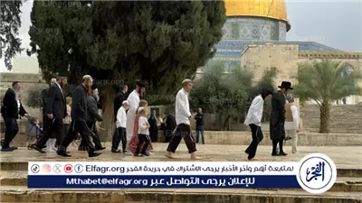 عاجل - باحث فلسطيني يحذر من مخطط إسرائيلي ممنهج لتهويد المسجد الأقصى وبناء 