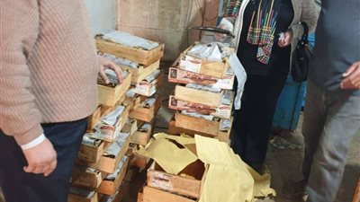 بيطرى الشرقية يضبط أكثر من 8 طن أسماك مجمدة مخالفة في الصالحية الجديدة