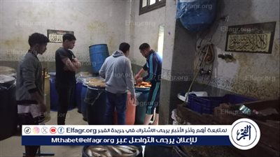 محافظ الدقهلية: ضبط 16 طن تقريبا أسماك ورنجة وفسيخ ولحوم ودجاج مخالفة للمواصفات