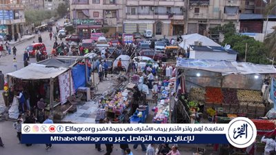 محافظ الإسكندرية يوجه بإزالة الكافتيريات المخالفة وإغلاق المنافذ غير الآمنة بالكيلو 21