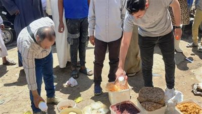 ضبط وإعدام لسلع غذائية وأسماك مملحة منتهية الصلاحية وغلق لمحلات مخالفة بأسوان