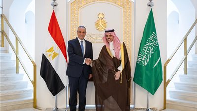 وزير الخارجية يترأس وفد مصر في أعمال لجنة المتابعة والتشاور السياسي بالرياض
