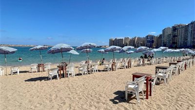 طلاب الإسكندرية ينضمون إلى مبادرة