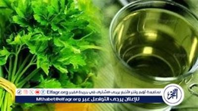 ديتوكس البقدونس والكرفس.. مشروب سحري لطرد السموم بعد تناول الرنجة والفسيخ