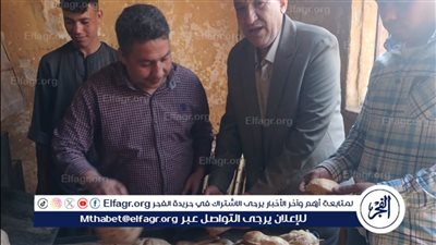 ضبط كميات من الأسماك المملحة غير الصالحة وتحرير 226 محضرًا خلال حملات تموينية بالمراكز 