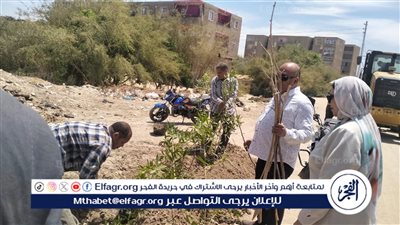 زراعة أشجار بالمحاور والطرق الرئيسية بمركز الغنايم فى أسيوط 