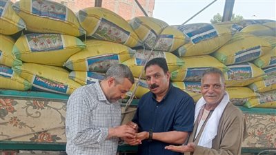 توريد 2000 طن من القمح في الأسبوع الأول من موسم التوريد بالجيزة