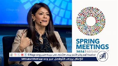 نائب بالشيوخ يكشف دلالة مشاركة مصر في اجتماعات الربيع (فيديو)